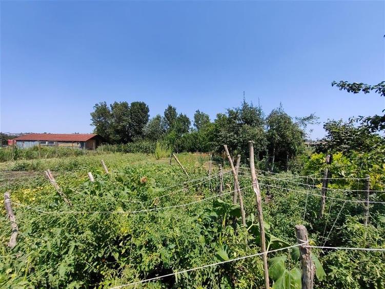 Casa cu 2 camere si anexe in Simand cu teren de 1465 mp
