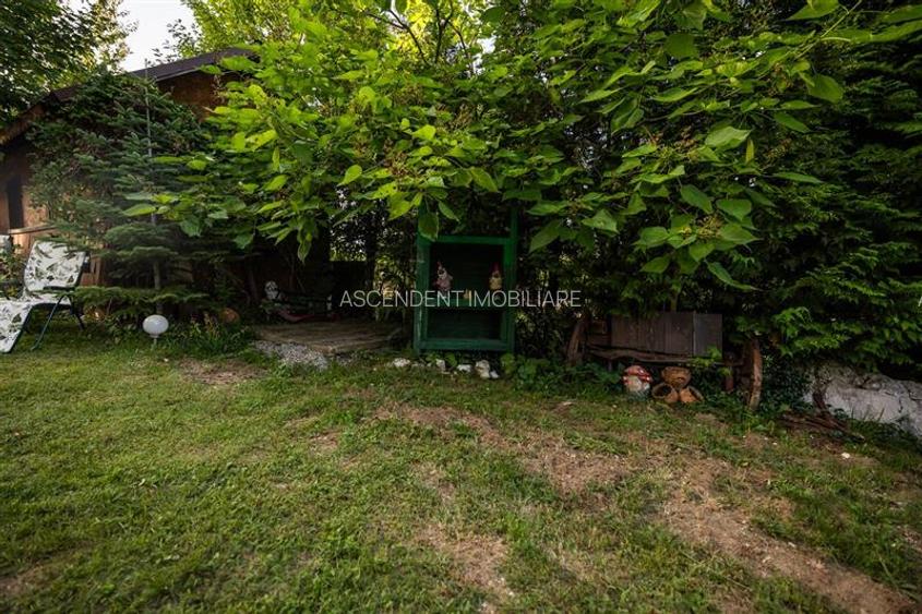 FILM! Investitie 2 in 1:Unitati independente +domeniu 1.742mp,aria Bran,Tohanita - 30