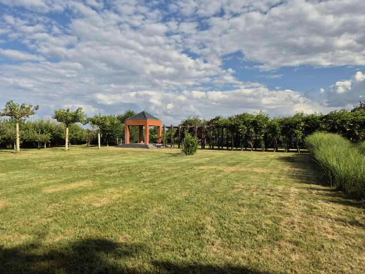 Proprietate exclusivistă cu 7.000 mp teren, piscină și multiple spații adiacente
