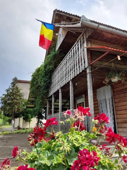 Complex turistic cu 2 cabane în stațiunea Tășnad de vânzare
