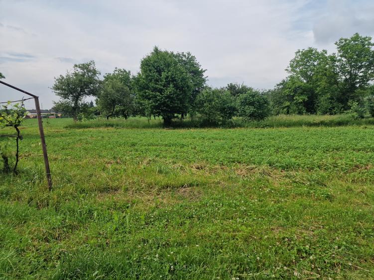 Casa la 5 km de Targu-Neamt - cu iaz si livada matura - gata pentru mutat