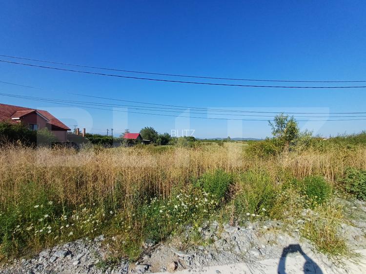 Teren intravilan si extravilan, 9500 mp, cu dublă deschidere – Ana Ipatescu - 3