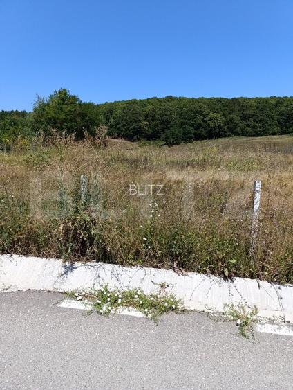 Teren 10200mp , toate utilitatile , la 10 km de DEJ