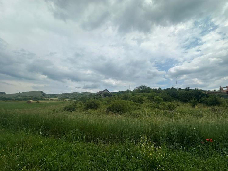 Teren Intravilan 1.493 mp| toate utilitățile| zona Teleac