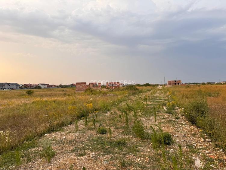 PARCELE DE VÂNZARE – MOȘNIȚA NOUĂ (în spatele Castelului)-Timisoara - 9