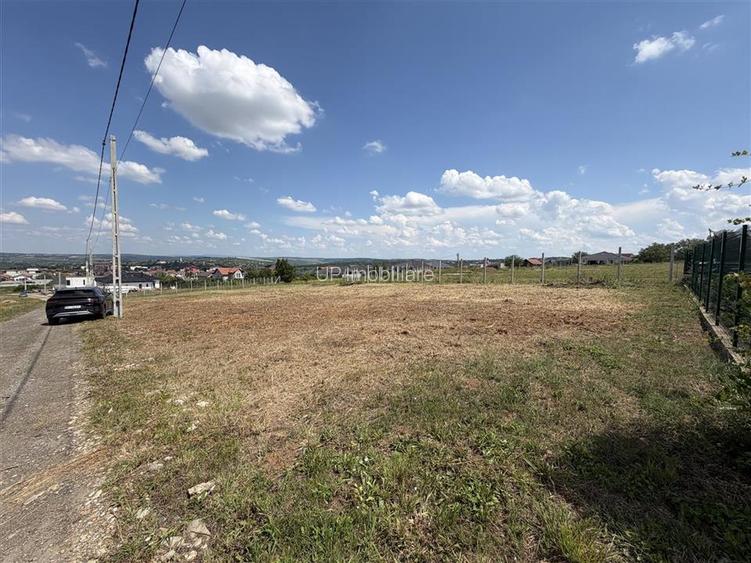 TEREN INTRAVILAN 800 MP | ZONA PALEU | BIHOR - 2