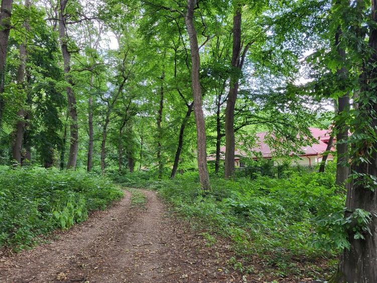 O PROPRIETATE RARĂ PE MALUL LACULUI SNAGOV / DESCHIDERE LA LAC