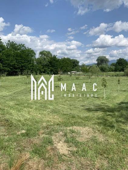 Hala Industrială | Teren 5000 mp | Marșa