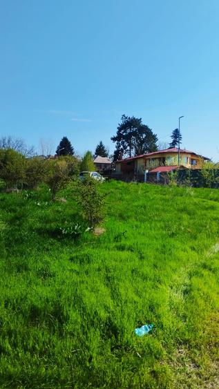 Teren intravilan de vânzare – Grădiștea, Ilfov, Aleea Primăriei