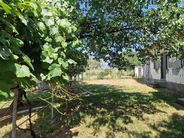 Casa traditionala, cu 2.000mp teren roditor, Izvoarele, Prahova - 17