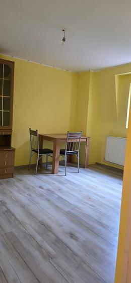 Nerva Traian, Apartament 2 camere in vila