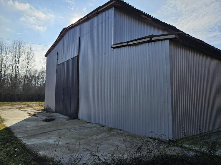Vanzare amplasament industrial-servicii Tatarasti, Teleorman