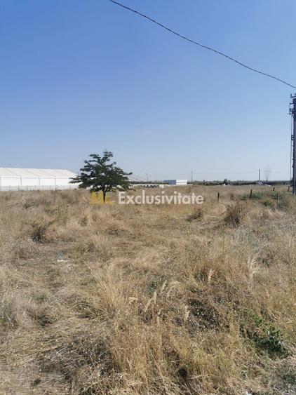 Teren extravilan arabil | Intrare in Pielesti | Zona Peugeot