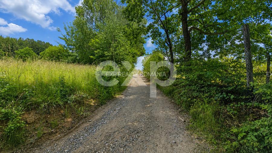 PANORAMA POIANA MĂRULUI | Teren cu potențial de dezvoltare zona  After Hills - 3