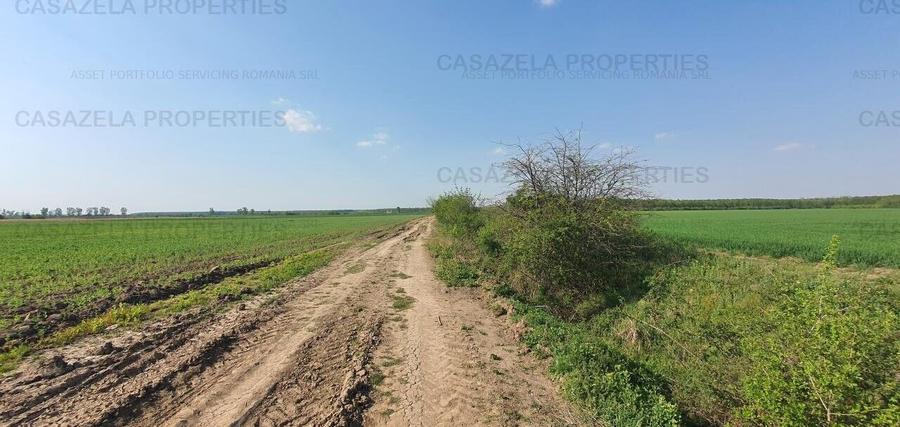 3 loturi de teren langa padure langa lacul Colacu, Dambovita