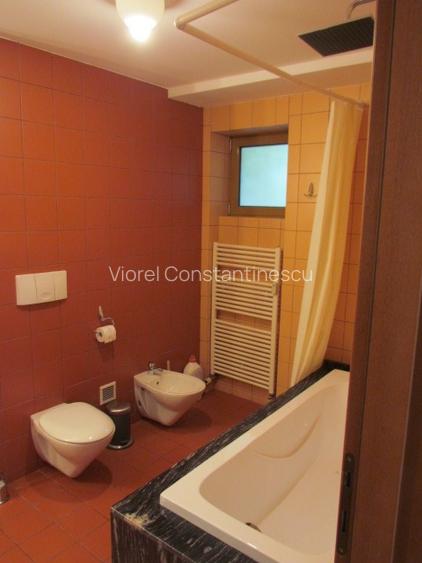 APARTAMENT AVIATORILOR 37 - 12