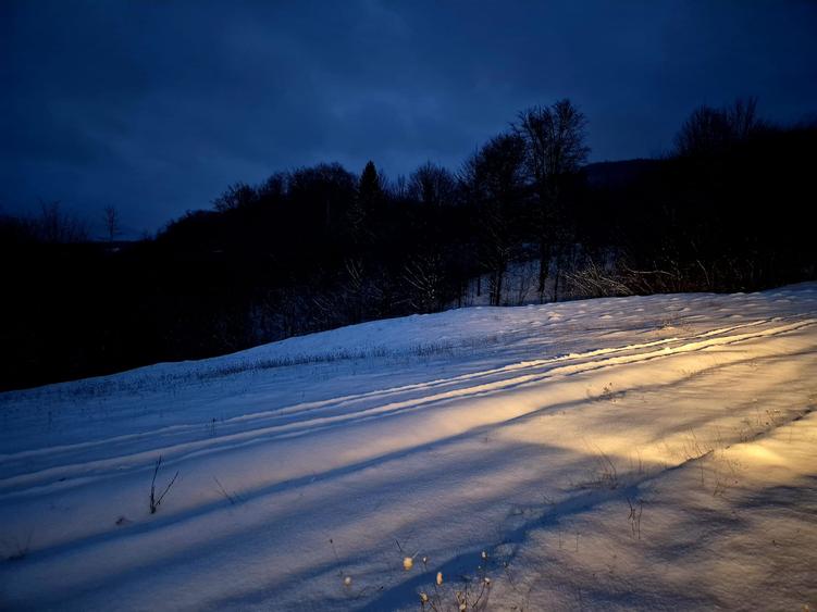 Teren extravilan 5000 mp Sinca Noua