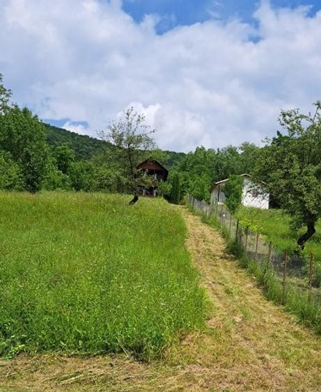 Prahova-Cosmina de Sus, Teren cu casa p+1