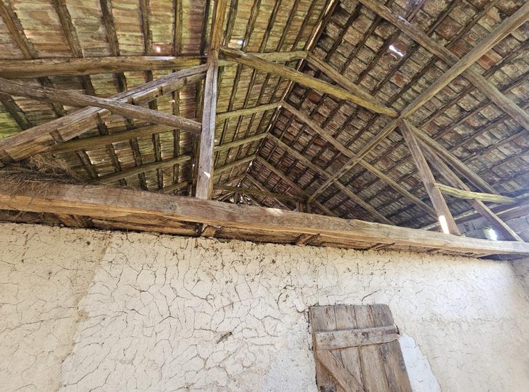 Casa la tara cu 3 camere + teren intravilan Sup 962 mp, Colesti, Bihor