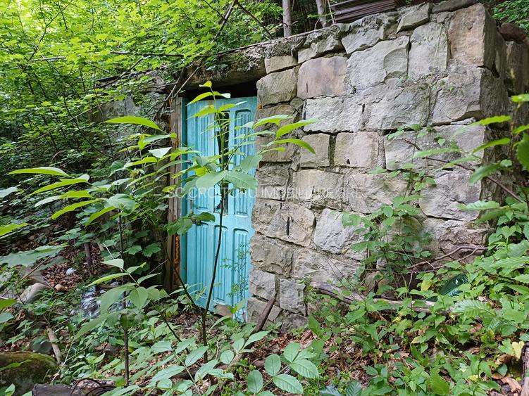 Vrancea - Nistoresti ! Vanzare ! Vila cu personalitate si potential turistic ! - 31
