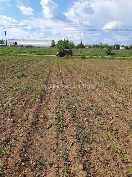 Teren intravilan 1.000 mp | Moara Vlăsiei | Strada Berzei - 9