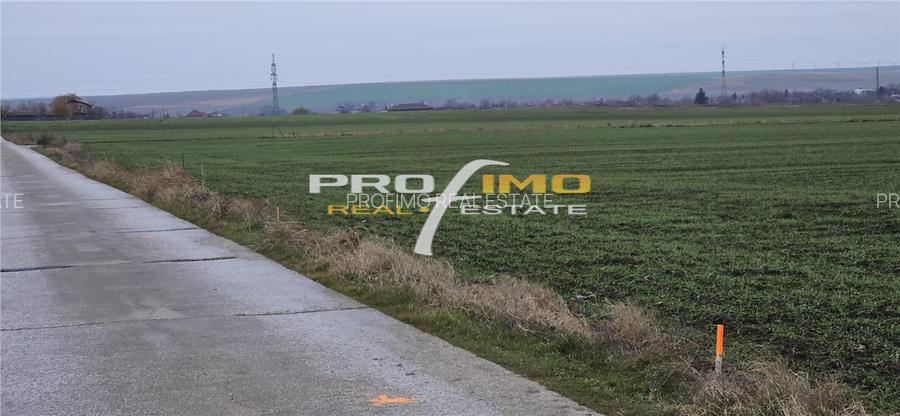 Plaja Corbu-Teren 4200mp. la numai 8 euro /mp. Soseaua asfaltata - 2