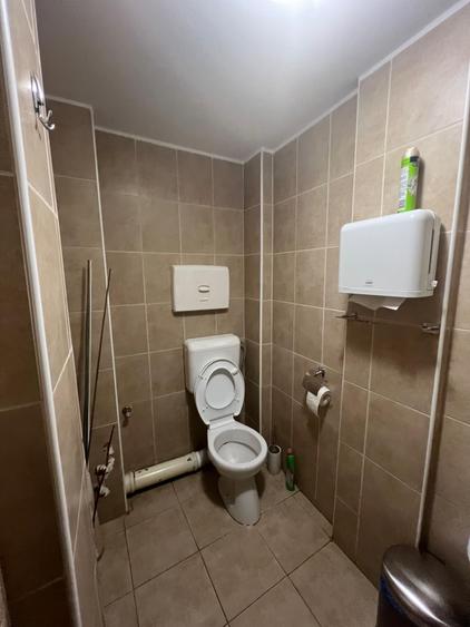Domenii - 6 rooms villa for rent