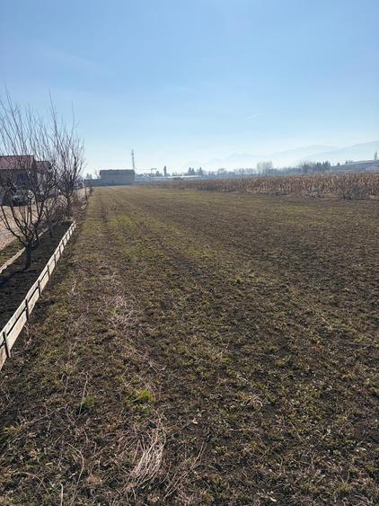 S.C Vimak Imobiliare vinde teren intravilan Stupini.