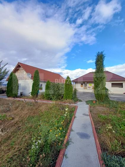 Exclusivitate!!! Doua proprietati, teren 3289 mp, Gligoresti, langa Luna - 8