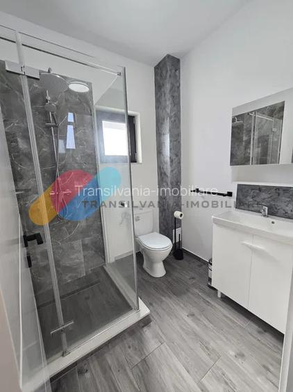 Casa individuala 4 camere, 120 mp-Dezmir - 4
