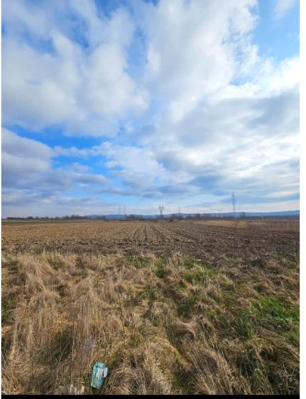 Teren de vanzare | 6400mp | Zona Centura Alba Iulia