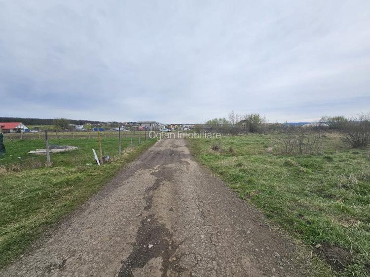 Teren intravilan de 500 mp in Calea Cisnădiei, Sibiu - 3