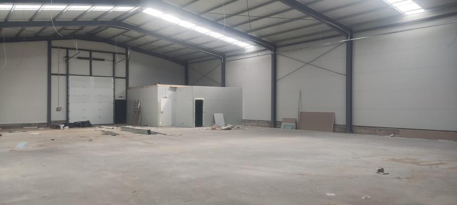 2 hale noi 2025 Afumati- Moara Domneasca
