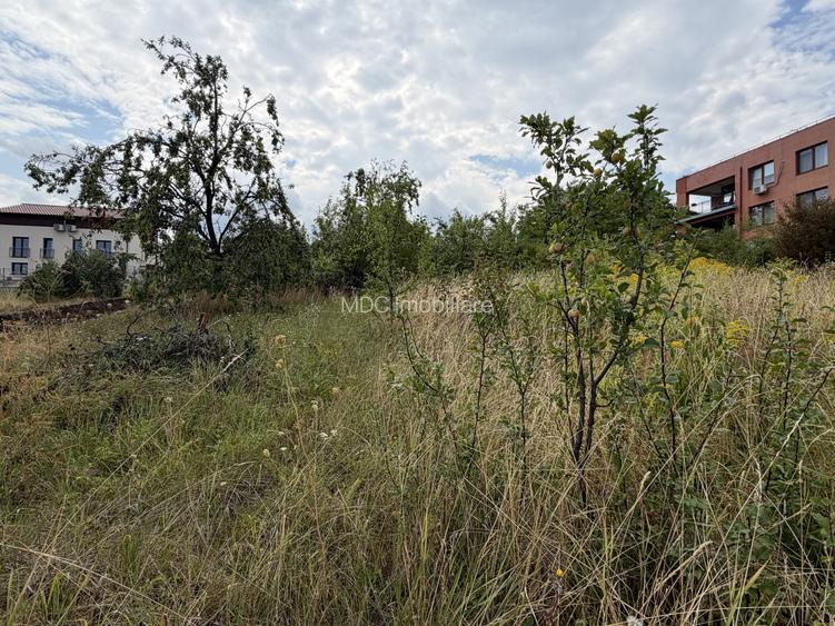 Ultimul teren disponibil dintr-un lot exclusivist de 7 parcele - 3