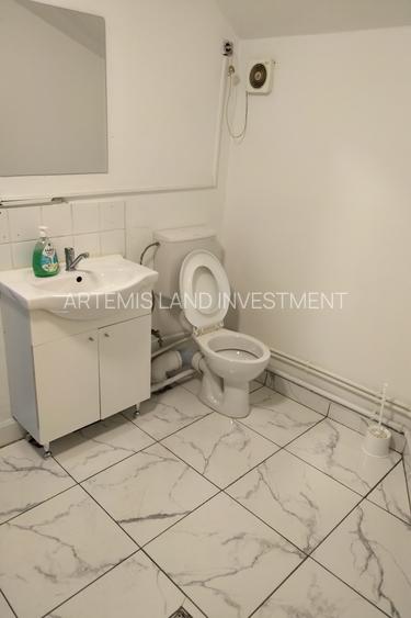 Spațiu comercial 60 mp ultracentral bulevardul Republicii 85 - 5
