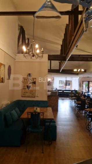 Restaurant de vânzare, 688 mp, zona Parcului Chindia - 7