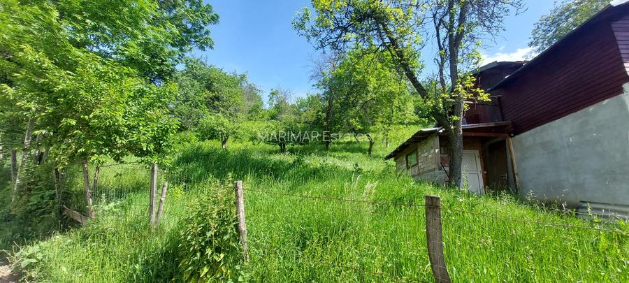 Casa gospodarului, bine întreținută, cu teren generos – Comarnic - 20