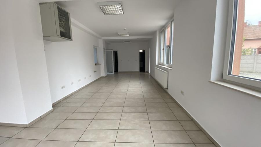 De inchiriat vila zona Take Ionescu,ISHO