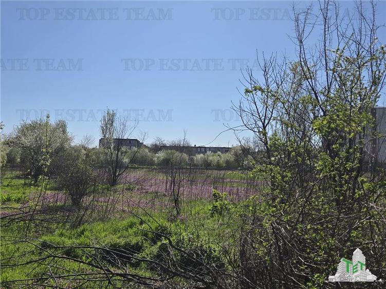 TEREN Intravilan 8.500 mp PACII