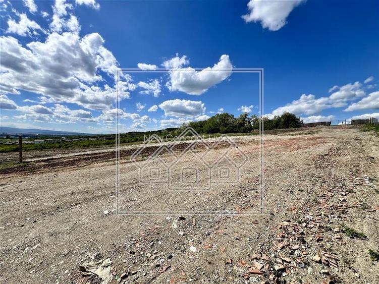 Teren extravilan de vanzare cu suprafata de 3100 mp in Daia - 3