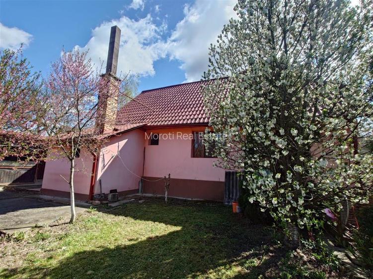 Casa cu gradina si foisor in Brazii Arad - 15