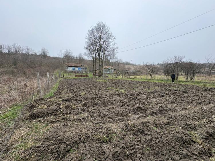 Teren 2.038 mp + Casă 50 mp de vânzare – Sat Luncsoru, Com. Ghercești