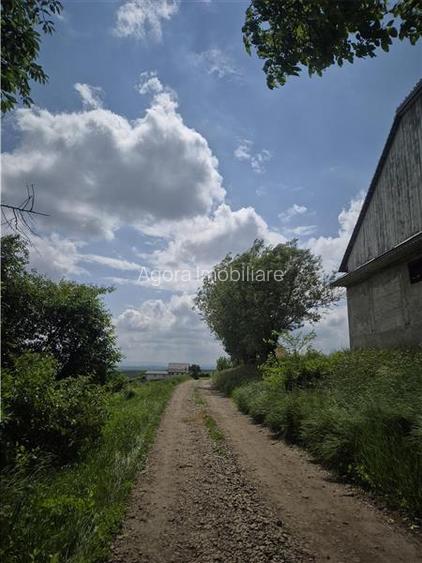 Teren intravilan Moara Nica - zona Scolii - 10