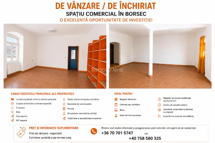DE VÂNZARE / DE ÎNCHIRIAT – IMOBIL COMERCIAL ÎN BORSEC  O EXCELENTĂ OPORTUNITATE - 2