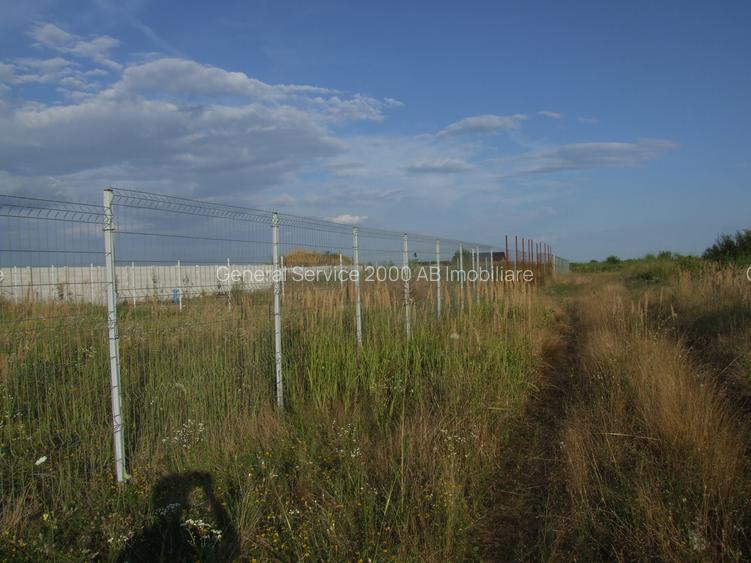Domnesti-teghes strada Bucegi intersectie Oltenitei - 3
