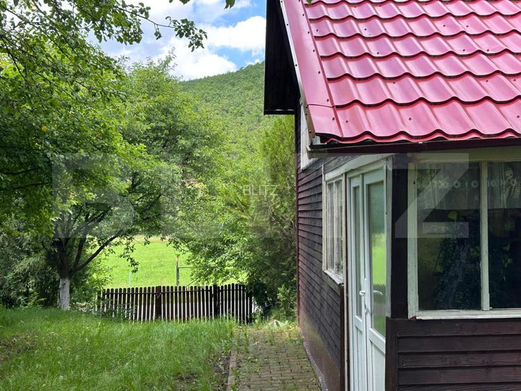 Teren si Casa de vacanta de vanzare, in Lisnau - Comuna Ozun - 11