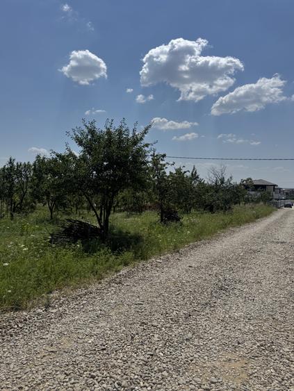 Teren intravilan parcelabil de vanzare – Cocosesti, comuna Paulesti  Va oferim