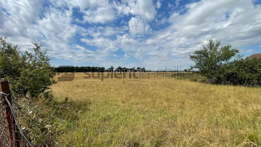 Teren Intravilan 1 ha – Acces Drum Asfalt | Ideal Rezidențial - 4