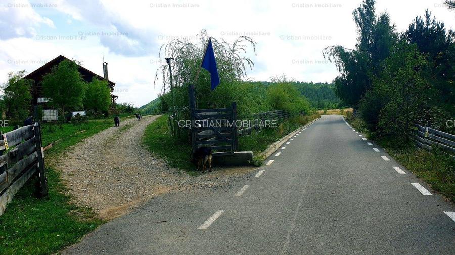 RATE Pensiune 12 cam Superba*** malul Lac Mocearu piscina ,16277mp - 22