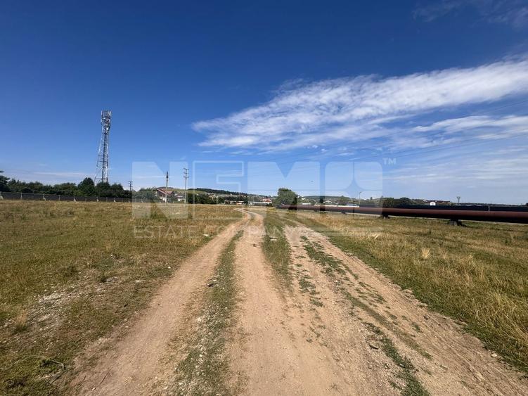 Teren Itcani | 31 Ari | Extravilan | Deschidere 11.5 MP | 93000 Euro